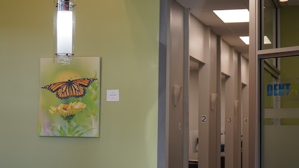 Puresmile Orthodontics